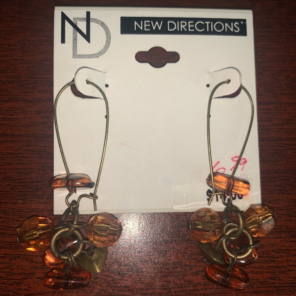 New Directions Brown Dangle Earrings